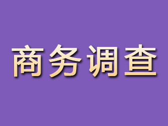 洪江商务调查